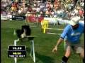 Dog Show: National Finals Small Dog Agility Course
